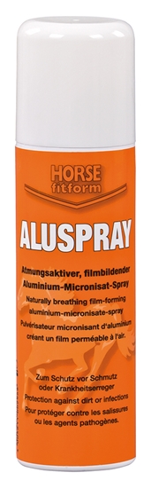 Picture of Spray per la pelle alluminio ALUSPRAY