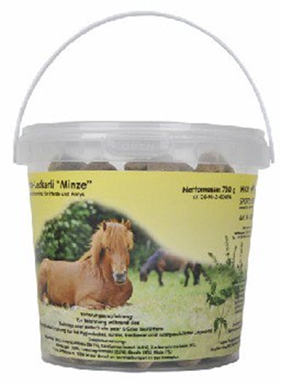 Picture of Snack per cavalli menta 750 gr